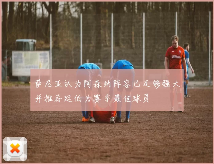 萨尼亚认为阿森纳阵容已足够强大并推荐廷伯为赛季最佳球员
