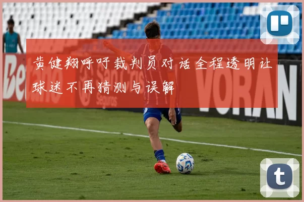 黄健翔呼吁裁判员对话全程透明让球迷不再猜测与误解